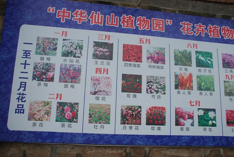 DSC_0020_副本.jpg