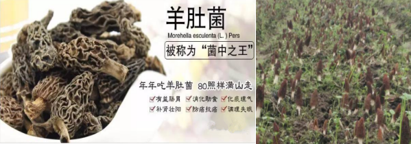 1600850817150814.png QQ截图20200727160652.png